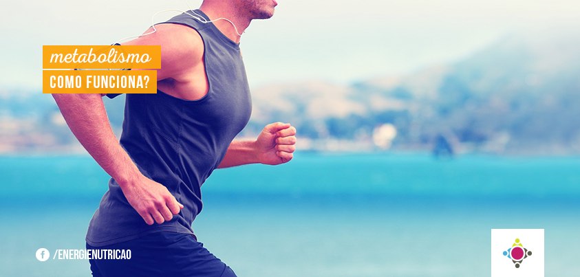 metabolismo