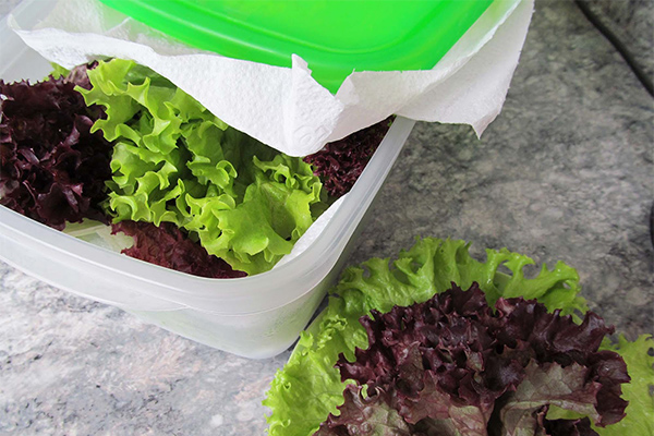 consumir mais legumes e verduras no jantar - lave as folhas e armazene