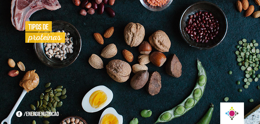 tipos de proteínas