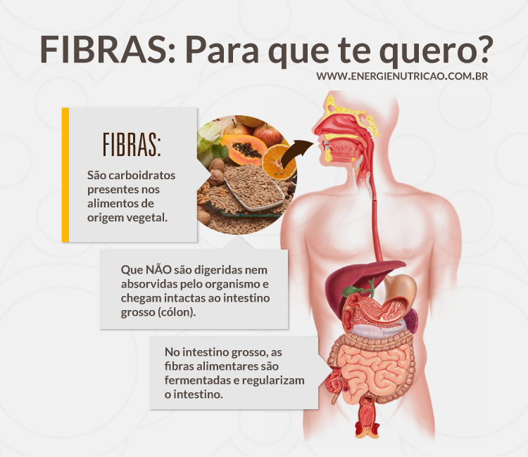 Fibras Quais Os Tipos E As Melhores Escolhas 5579