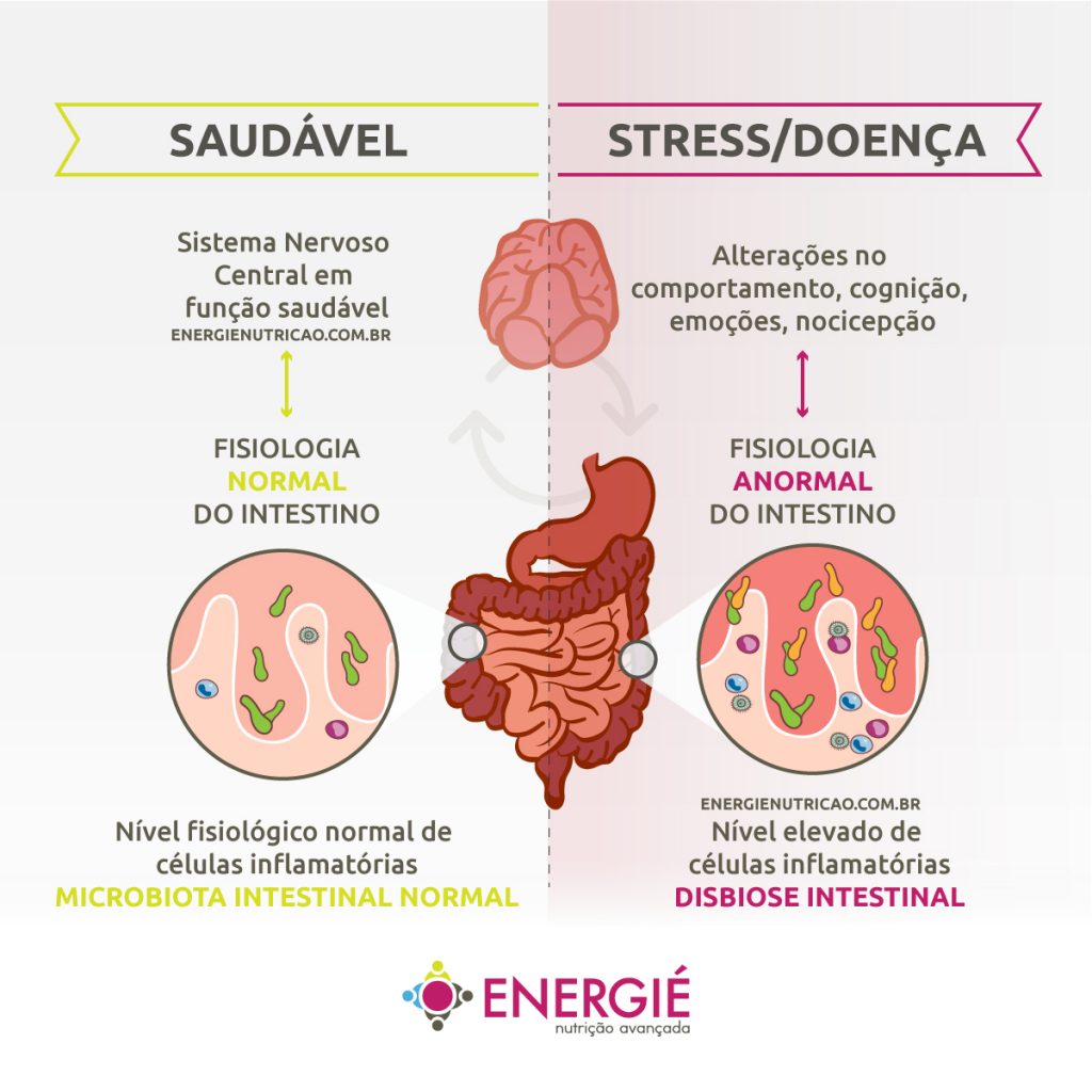 Você sabia que o intestino é considerado nosso segundo cérebro